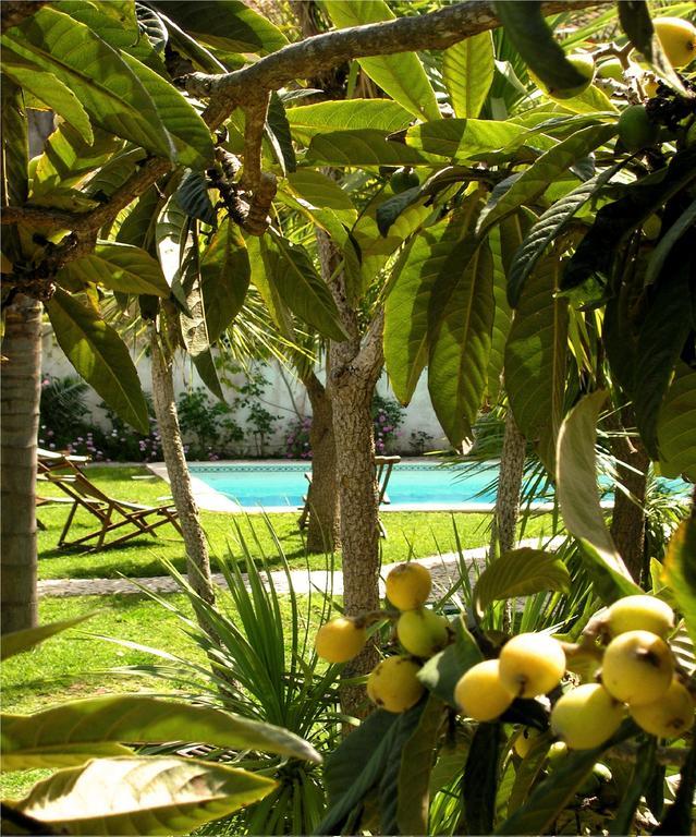 Bed and Breakfast Uma Casa A Beira Sol Lagos Exterior foto